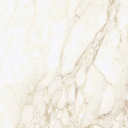 Керамогранит Coliseum Микеланджело Ворм 60х60 (Натуральный и Реттифицированный) в Ростове-на-Дону