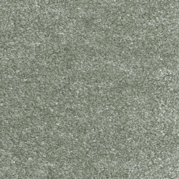 Ковровое покрытие AW Euphoria 28 - (5м) в Ростове-на-Дону