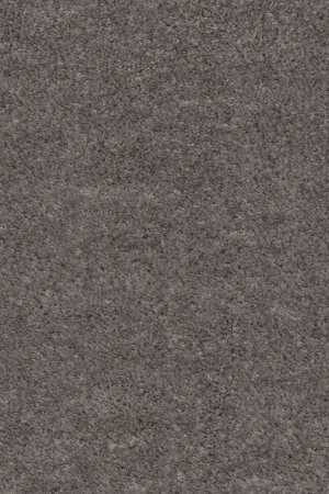 Ковровое покрытие AW Euphoria 45 - (5м) в Ростове-на-Дону