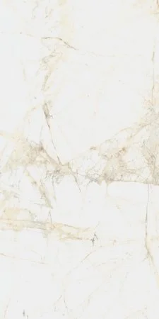 Керамогранит Coliseum Канова Уайт 60х120 (Натуральный и Реттифицированный) в Ростове-на-Дону