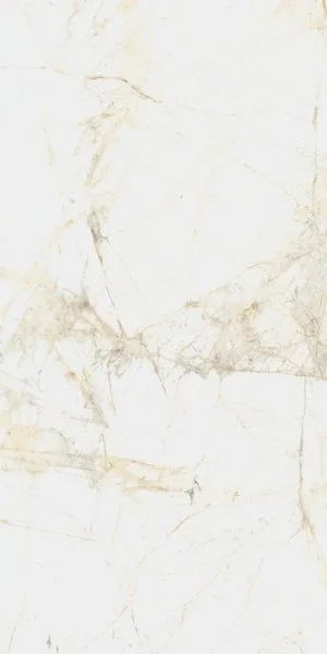 Керамогранит Coliseum Канова Уайт 60х120 (Натуральный и Реттифицированный) в Ростове-на-Дону