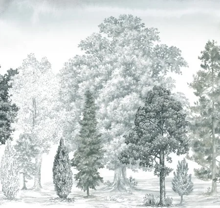 Обои Loymina Пейзаж vol. 2 ART14 011 в Ростове-на-Дону