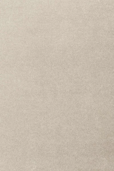 Ковровое покрытие AW Oinone 39 - (4м) в Ростове-на-Дону