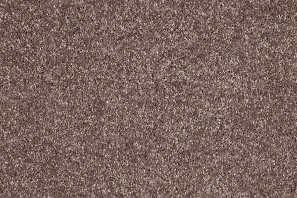 Ковровое покрытие AW Gala 60 - (5м) в Ростове-на-Дону