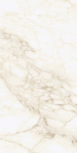 Керамогранит Coliseum Микеланджело Ворм 60х120 (Натуральный и Реттифицированный) в #REGION_NAME_DECLINE_PP#