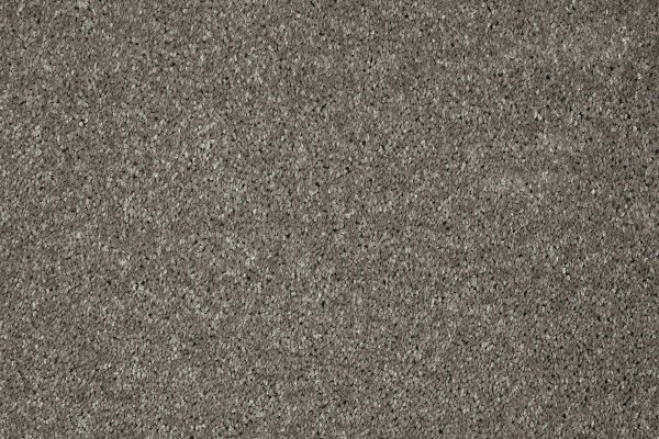 Ковровое покрытие AW Gala 94 - (5м) в #REGION_NAME_DECLINE_PP#