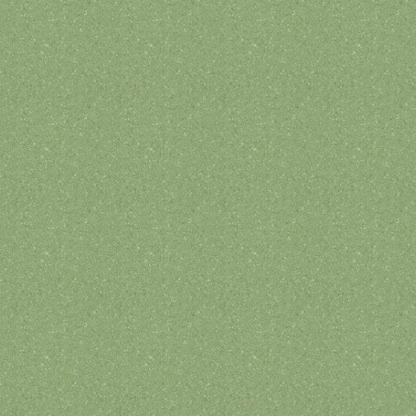 Линолеум Tarkett Tempo Plus 1009 2 м в #REGION_NAME_DECLINE_PP#